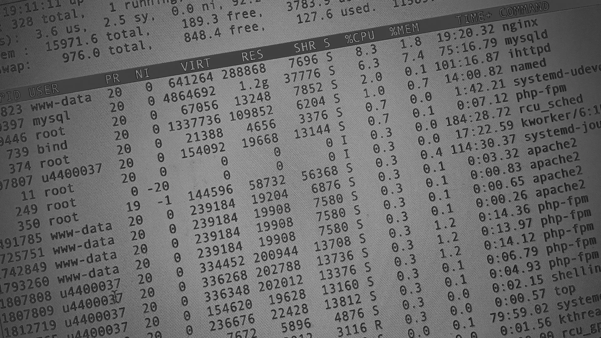 Настройка сервера в Красавино