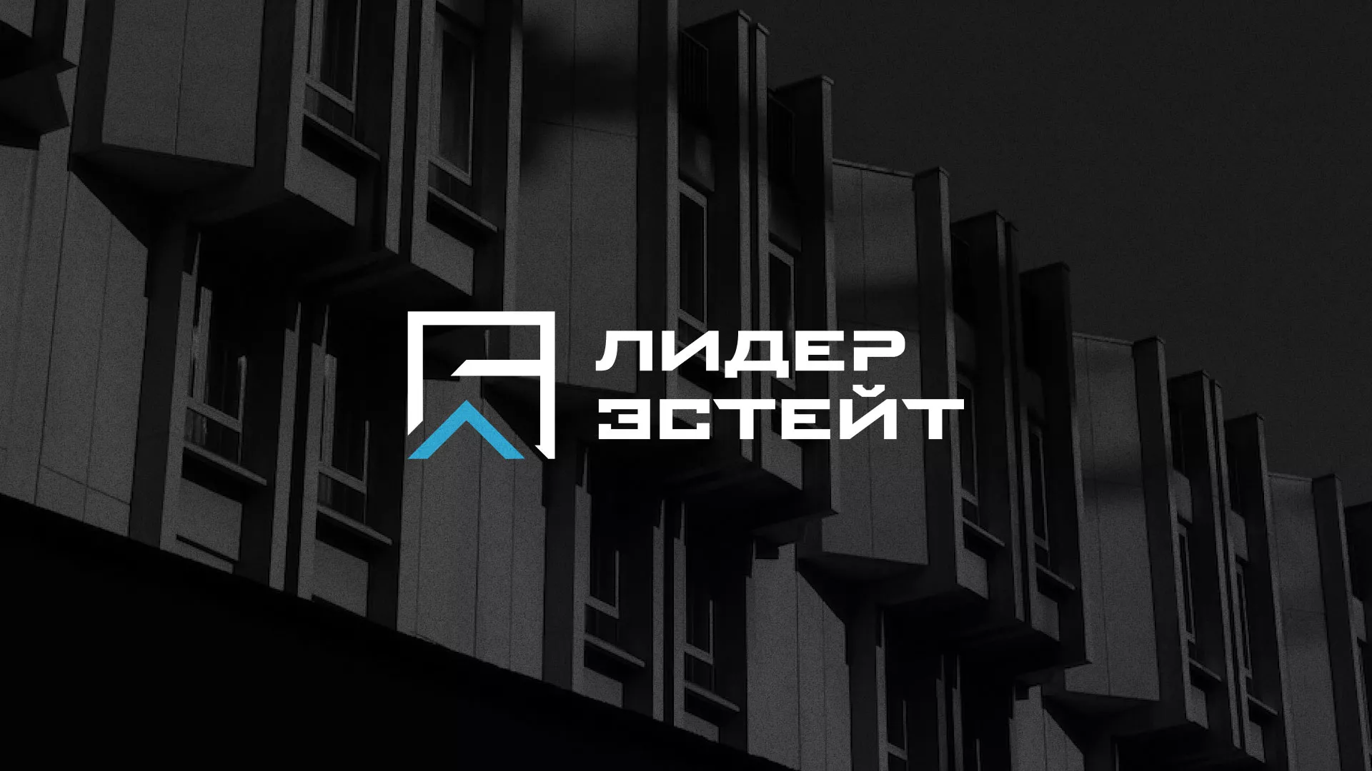 Разработка логотипа агентства недвижимости «Лидер Эстейт» в Красавино